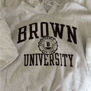 Champion Gray Brown University Hoodie